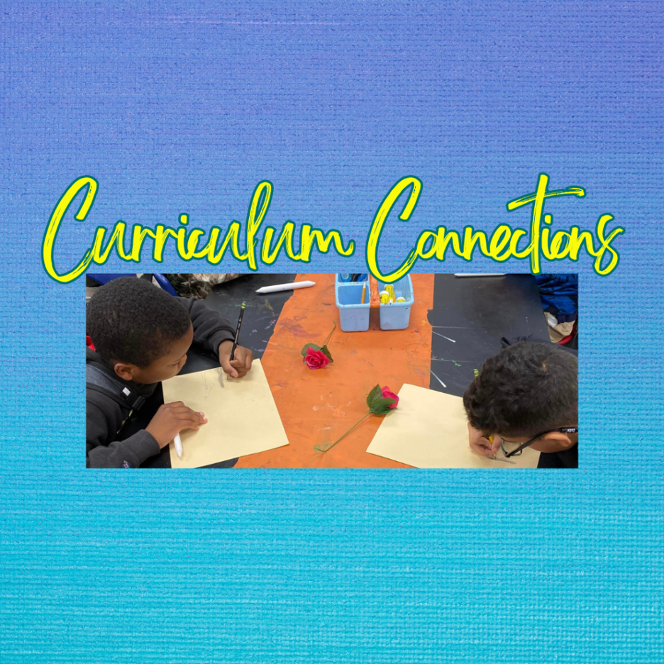 Curriculum Connections